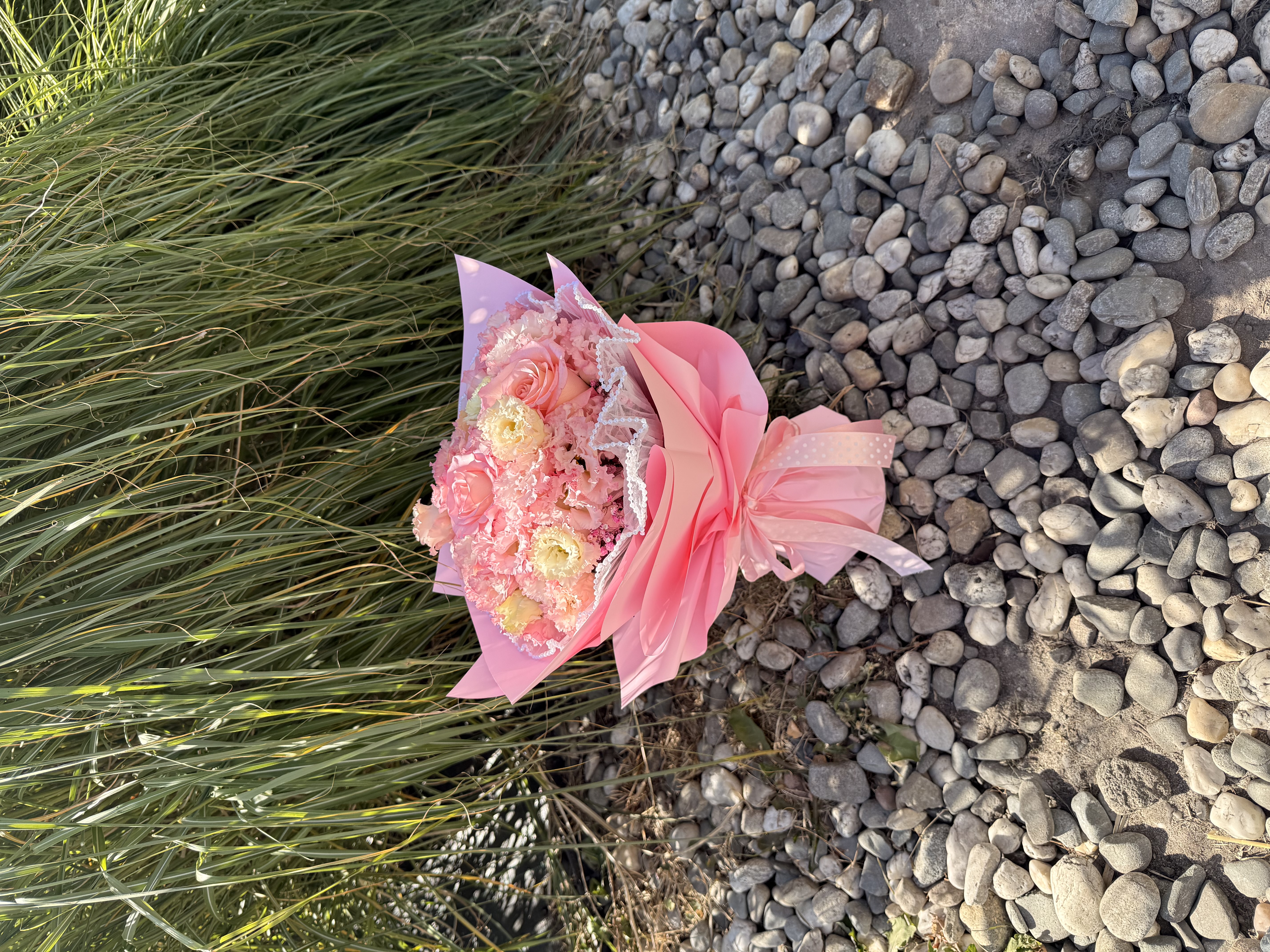 Coral